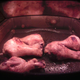This screenshot was from 21 minutes into the cook. You can already start to see charring, and 8 minutes later they were very burnt.